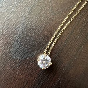 Banana Republic Pendant Necklace (New Without Tags)